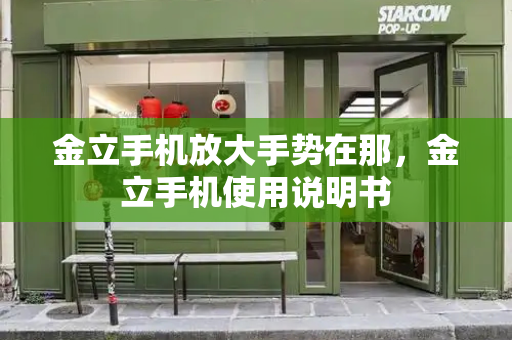 金立手机放大手势在那，金立手机使用说明书-第1张图片-星选测评