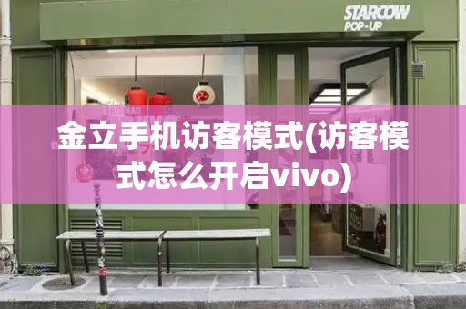 金立手机访客模式(访客模式怎么开启vivo)