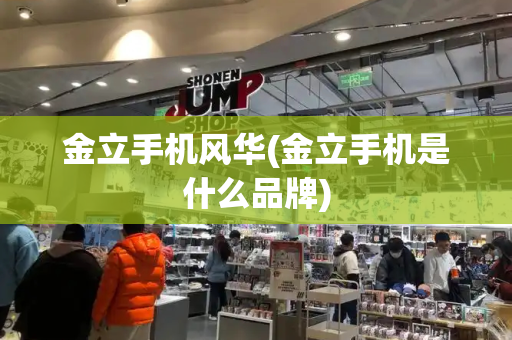 金立手机风华(金立手机是什么品牌)
