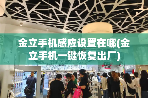 金立手机感应设置在哪(金立手机一键恢复出厂)-第1张图片-星选测评