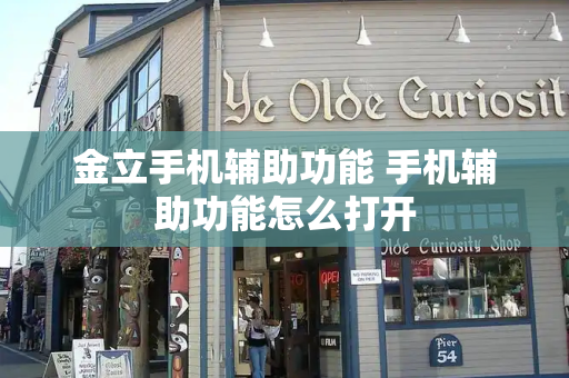 金立手机辅助功能 手机辅助功能怎么打开-第1张图片-星选测评