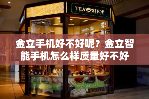 金立手机好不好呢？金立智能手机怎么样质量好不好-第1张图片-星选测评