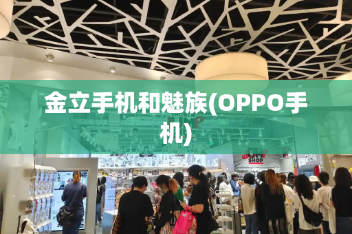 金立手机和魅族(OPPO手机)-第1张图片-星选测评
