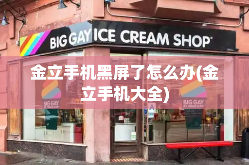 金立手机黑屏了怎么办(金立手机大全)