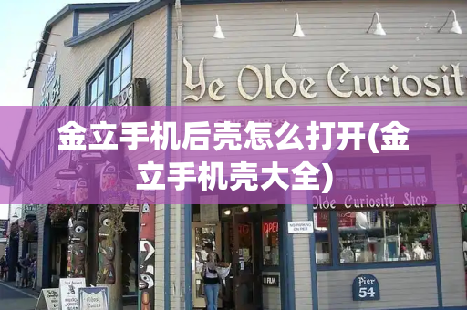 金立手机后壳怎么打开(金立手机壳大全)-第1张图片-星选测评