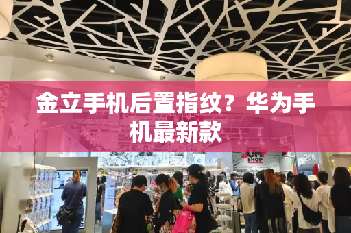 金立手机后置指纹？华为手机最新款-第1张图片-星选测评