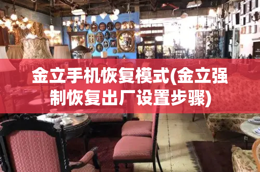 金立手机恢复模式(金立强制恢复出厂设置步骤)-第1张图片-星选测评