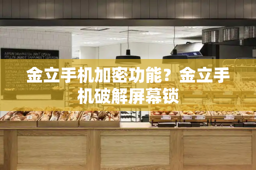 金立手机加密功能？金立手机破解屏幕锁-第1张图片-星选测评