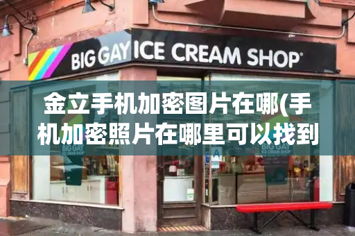 金立手机加密图片在哪(手机加密照片在哪里可以找到)-第1张图片-星选测评