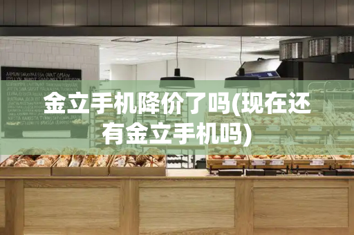 金立手机降价了吗(现在还有金立手机吗)