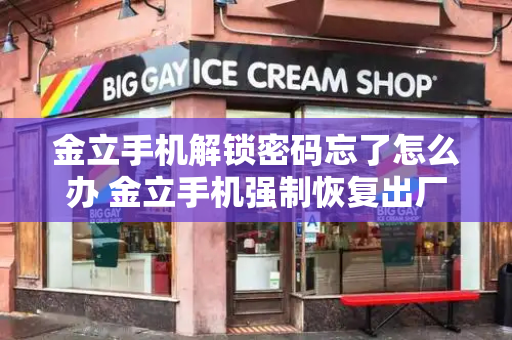 金立手机解锁密码忘了怎么办 金立手机强制恢复出厂-第1张图片-星选测评