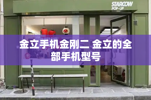 金立手机金刚二 金立的全部手机型号-第1张图片-星选测评