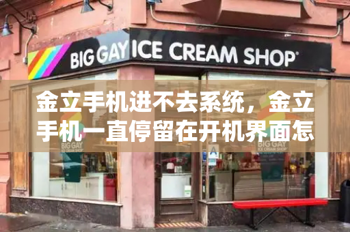 金立手机进不去系统，金立手机一直停留在开机界面怎么办-第1张图片-星选测评