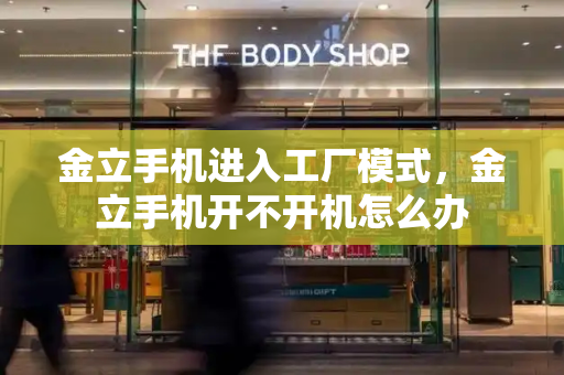 金立手机进入工厂模式，金立手机开不开机怎么办-第1张图片-星选测评