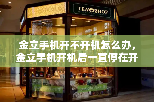 金立手机开不开机怎么办，金立手机开机后一直停在开机界面-第1张图片-星选测评