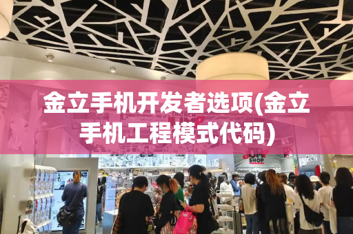 金立手机开发者选项(金立手机工程模式代码)