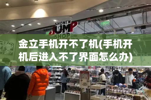 金立手机开不了机(手机开机后进入不了界面怎么办)-第1张图片-星选测评
