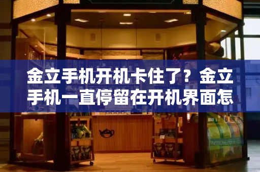 金立手机开机卡住了？金立手机一直停留在开机界面怎么办-第1张图片-星选测评