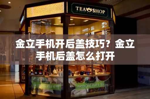 金立手机开后盖技巧？金立手机后盖怎么打开-第1张图片-星选测评