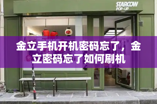金立手机开机密码忘了，金立密码忘了如何刷机-第1张图片-星选测评