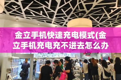 金立手机快速充电模式(金立手机充电充不进去怎么办)-第1张图片-星选测评