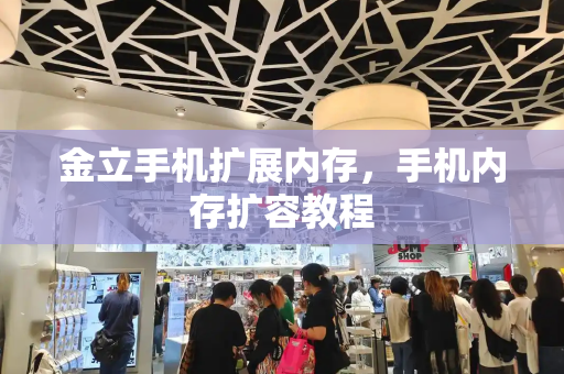金立手机扩展内存，手机内存扩容教程-第1张图片-星选测评