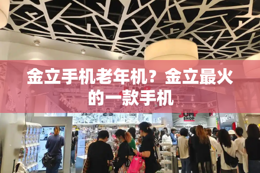 金立手机老年机？金立最火的一款手机-第1张图片-星选测评
