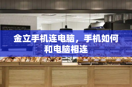金立手机连电脑，手机如何和电脑相连-第1张图片-星选测评