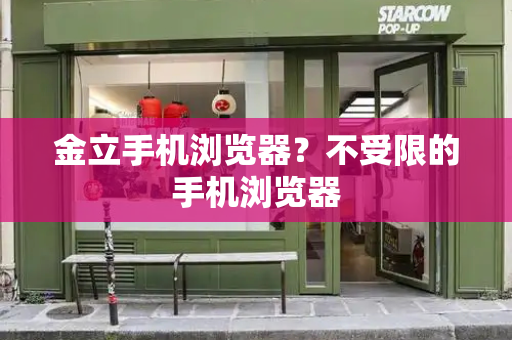 金立手机浏览器？不受限的手机浏览器-第1张图片-星选测评