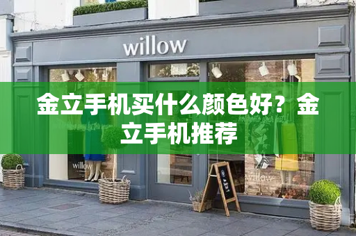 金立手机买什么颜色好？金立手机推荐-第1张图片-星选测评