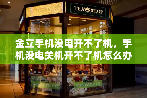 金立手机没电开不了机，手机没电关机开不了机怎么办-第1张图片-星选测评