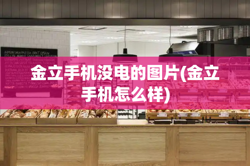 金立手机没电的图片(金立手机怎么样)