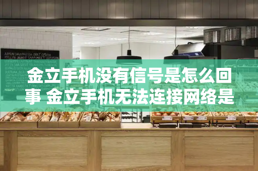 金立手机没有信号是怎么回事 金立手机无法连接网络是怎么回事-第1张图片-星选测评