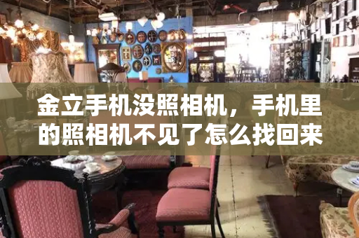 金立手机没照相机，手机里的照相机不见了怎么找回来-第1张图片-星选测评
