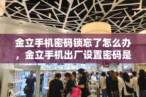 金立手机密码锁忘了怎么办，金立手机出厂设置密码是多少-第1张图片-星选测评