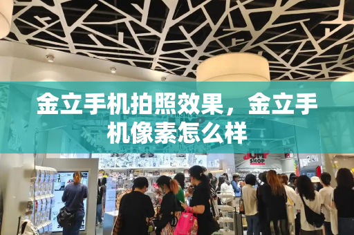 金立手机拍照效果，金立手机像素怎么样-第1张图片-星选测评