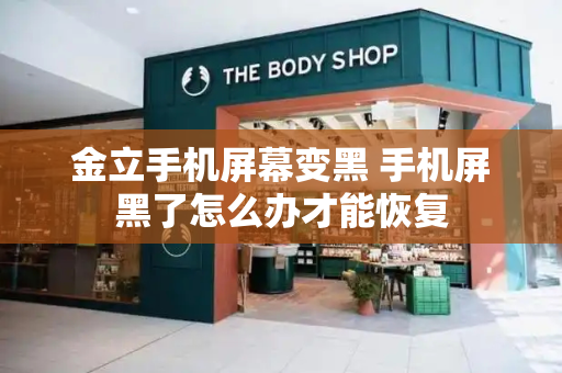 金立手机屏幕变黑 手机屏黑了怎么办才能恢复-第1张图片-星选测评