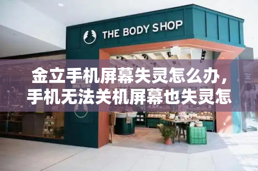 金立手机屏幕失灵怎么办，手机无法关机屏幕也失灵怎么办