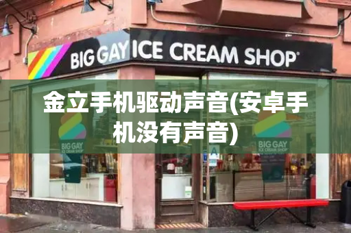 金立手机驱动声音(安卓手机没有声音)-第1张图片-星选测评