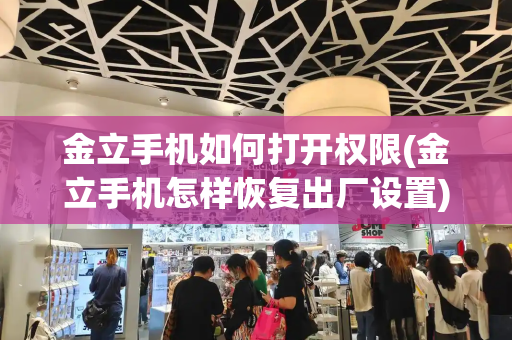 金立手机如何打开权限(金立手机怎样恢复出厂设置)-第1张图片-星选测评