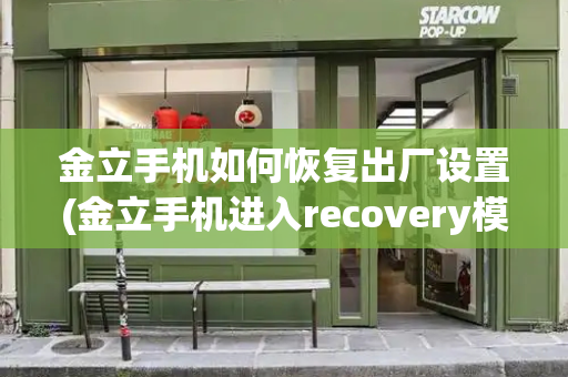 金立手机如何恢复出厂设置(金立手机进入recovery模式)-第1张图片-星选测评