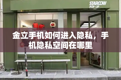 金立手机如何进入隐私，手机隐私空间在哪里-第1张图片-星选测评