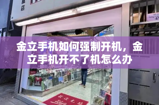 金立手机如何强制开机，金立手机开不了机怎么办-第1张图片-星选测评