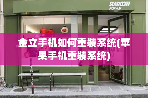 金立手机如何重装系统(苹果手机重装系统)-第1张图片-星选测评