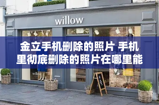 金立手机删除的照片 手机里彻底删除的照片在哪里能找到-第1张图片-星选测评