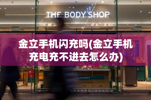 金立手机闪充吗(金立手机充电充不进去怎么办)-第1张图片-星选测评