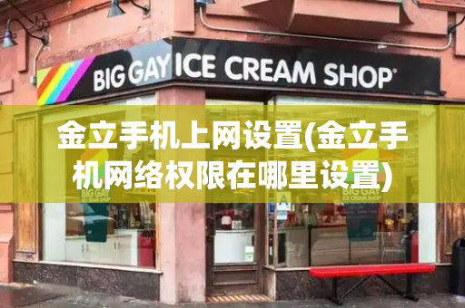 金立手机上网设置(金立手机网络权限在哪里设置)