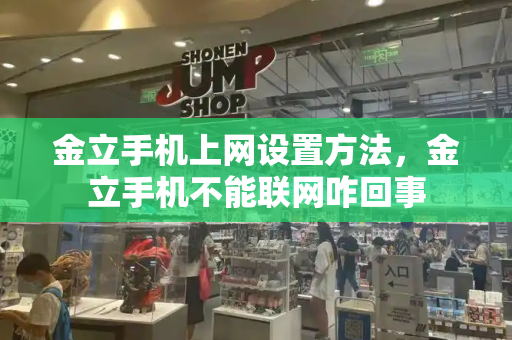 金立手机上网设置方法，金立手机不能联网咋回事