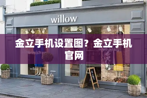 金立手机设置图？金立手机官网-第1张图片-星选测评