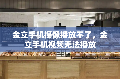金立手机摄像播放不了，金立手机视频无法播放-第1张图片-星选测评